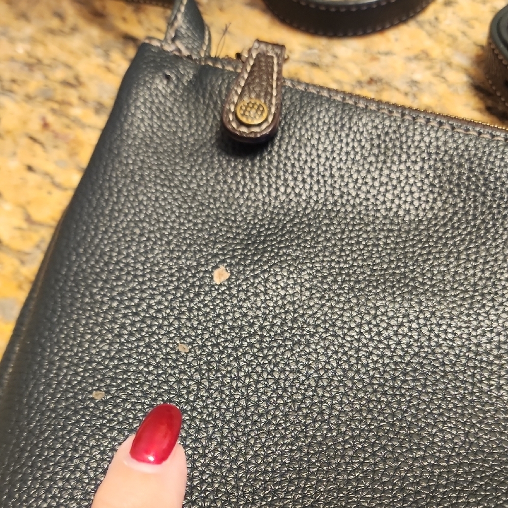 Chala Blue and Brown Crossbody Bag with Leaf and Dragonfly Accents - Picture 5 of 13